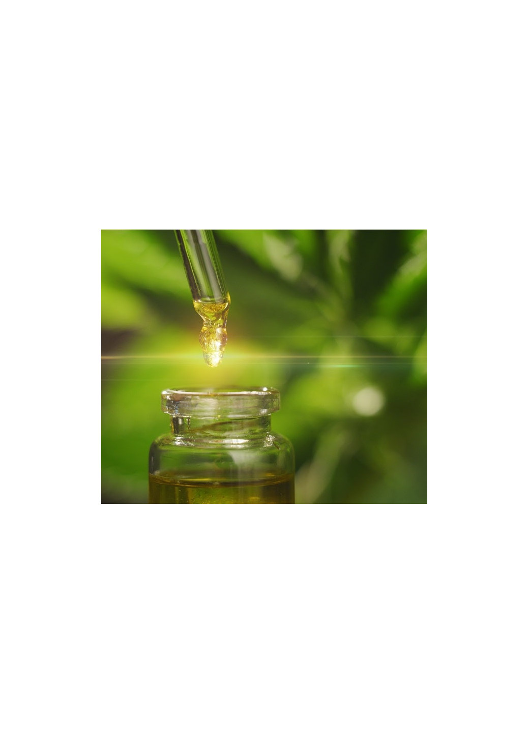 Enhance Your Wellness Journey: Adding CBD Products to Your Regime with The Bullet CBD Company